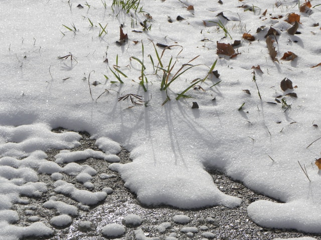 F. Doug R.W. Dunigan/Unsplash.