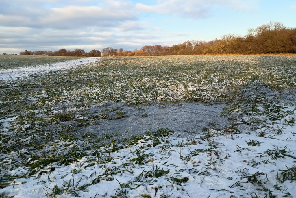 Fot. Michał Lewicki.