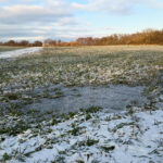 Fot. Michał Lewicki.