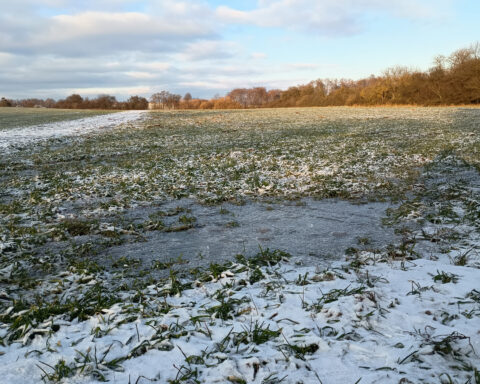 Fot. Michał Lewicki.