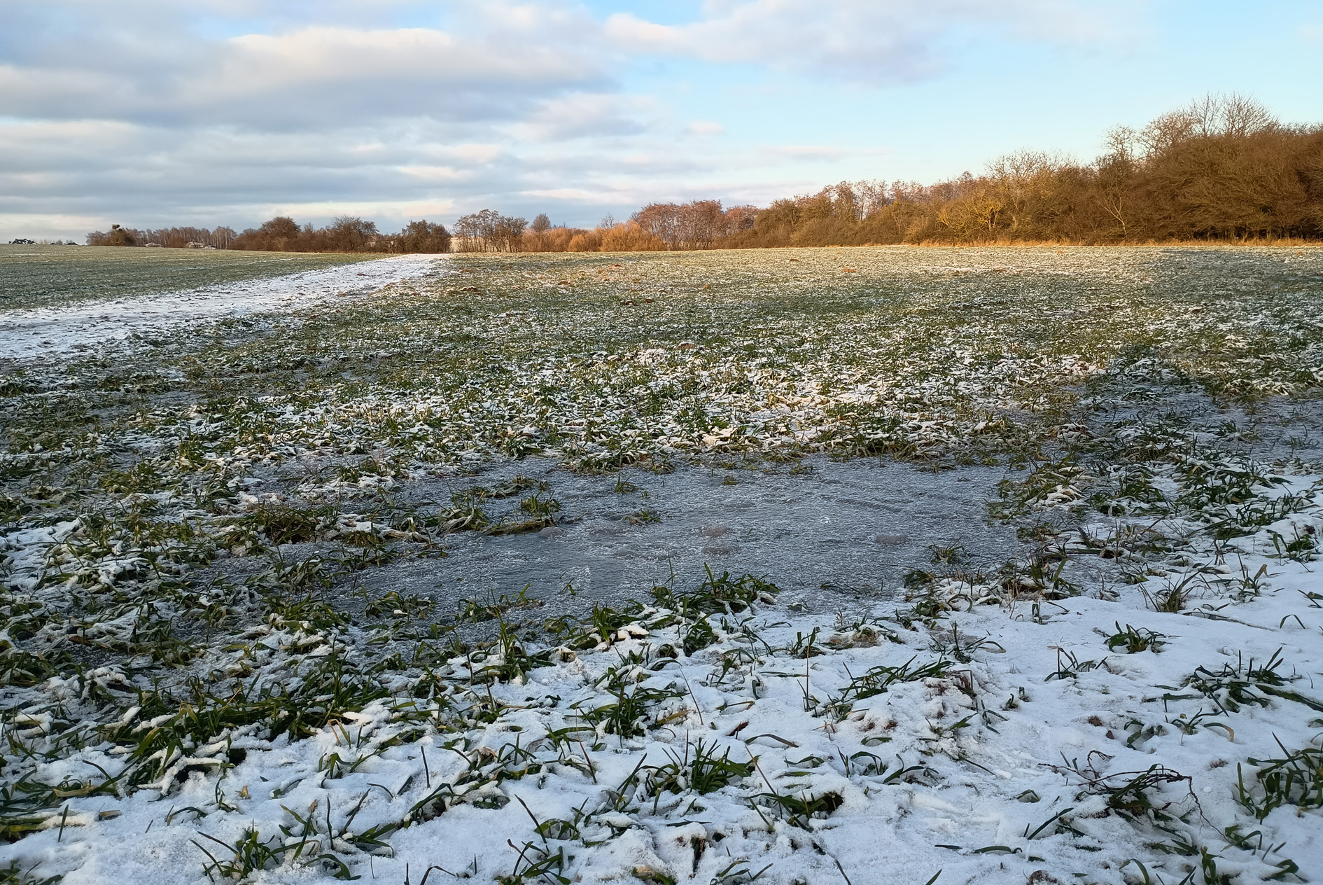 Fot. Michał Lewicki.