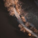 F. Ahmet Yuksek/Unsplash.