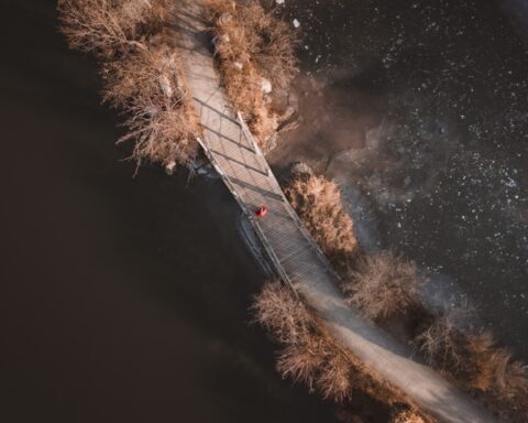 F. Ahmet Yuksek/Unsplash.