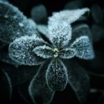 F. Eugene Golovesov/Unsplash.