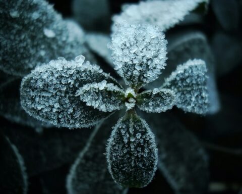 F. Eugene Golovesov/Unsplash.