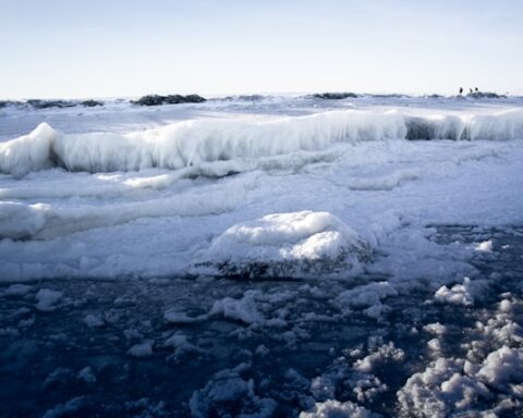 F. Kate Kasiutich/Unsplash.