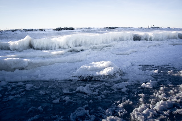 F. Kate Kasiutich/Unsplash.